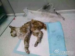 android_upload_pic-盛京一禾