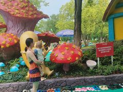 -苏州乐园森林水世界