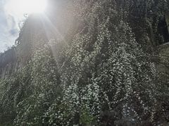 -成都当代影像馆
