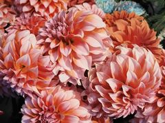 -爱尚幸福鲜花(上地实体店)