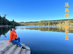 -五营红松林海景区