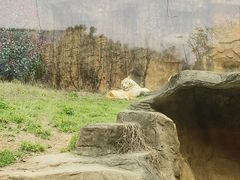 -杭州野生动物世界