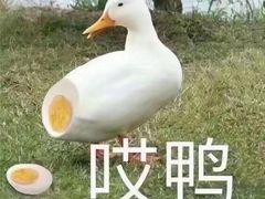 -泰好吃芝士年糕火锅(独墅湖店)