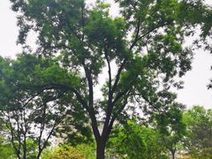 -雕刻时光咖啡馆(南院门店)