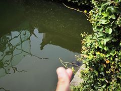 -宁波市保国寺古建筑博物馆