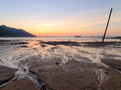 -北岐滩涂