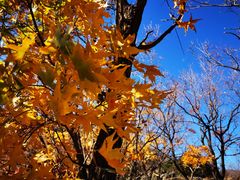 -北京鹫峰国家森林公园