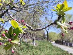 -元大都城垣遗址公园