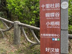 -梧桐山风景名胜区