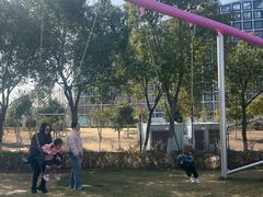 -春花秋色城市公园