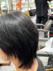 -MODEL SAGA名媛世家