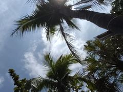 -三亚海棠湾南田温泉神龙谷