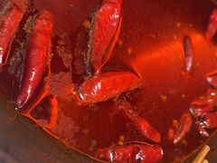 -朱光玉火锅馆(正弘城店)