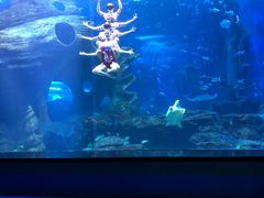 -多彩贵州城极地海洋世界