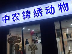 -喜多萌中农锦绣动物医院24H·猫科·牙科MRI·CT