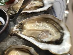法国金宝蚝-斯普汇生蚝牛排馆(中骏世界城店)