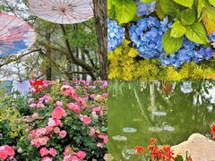 -人民公园(罗湖区)