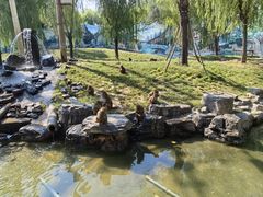 -北京野生动物园