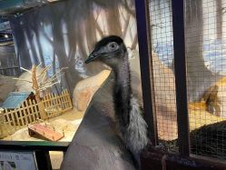 -酷嗒动物文化乐园(cutezoo西溪乐天城店)