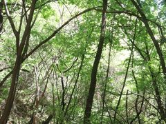 -百里山水画廊