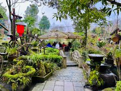 -青城甲(青城山店)