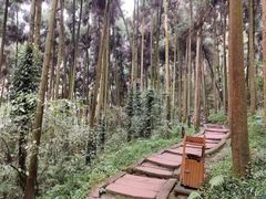 -青城山