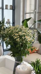 -尼巫美甲美睫·皮肤管理