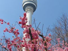 -龟山风景区-龟山电视塔