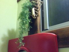 牧羊人山庄-牧羊人山庄