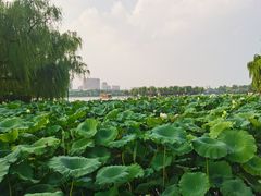 -咱家王新国把子肉(县东巷店)