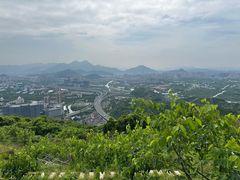 -大罗山风景区