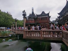 -豫园湖心亭茶楼