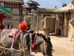 -镇北堡西部影城