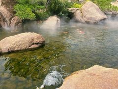 -罗红摄影艺术馆