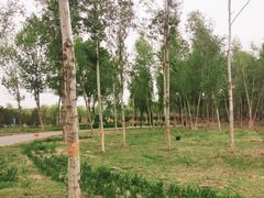 -东郊湿地公园