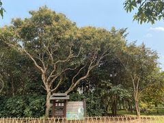 -中国科学院西双版纳热带植物园