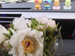 -双季花艺园艺市场(浦东店)