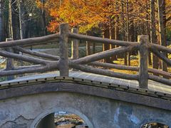 -白水寺森林公园