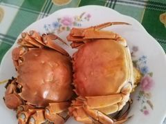 -品鲜村农家菜·阳澄湖大闸蟹(总店)