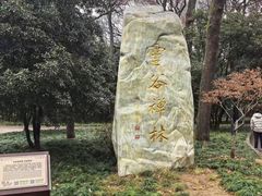 -灵谷景区