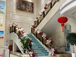 -禾丽康美医疗美容医院