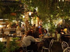 -The Grounds of Alexandria