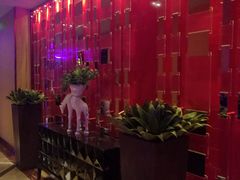 -纯K(打浦桥店)