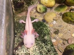 -正佳雨林生态植物园