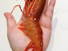 -骏莱海鲜鱼港(五角场店)