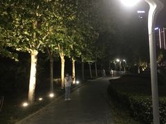 -天鹅湖体育公园