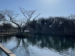 -济州森林小火车生态公园