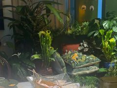 -Thai Basil罗勒叶泰式餐厅(时代天街店)