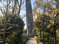 -上海佘山国家森林公园天马山园