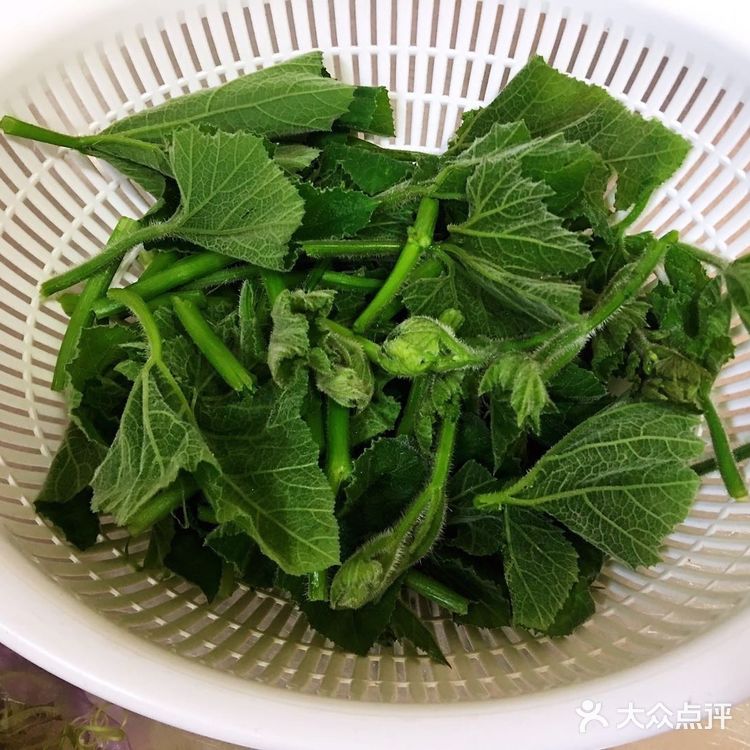 好吃美味绿化你的视野的炒南瓜尖